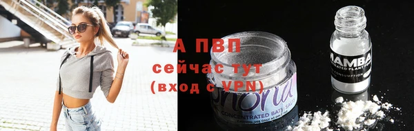 винт Алексин