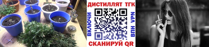 даркнет телеграм  где купить наркотик  Соликамск  ТГК вейп с тгк 