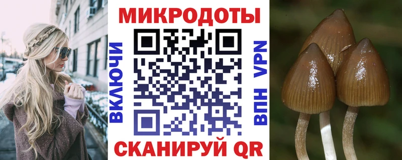 Псилоцибиновые грибы GOLDEN TEACHER сколько стоит Соликамск