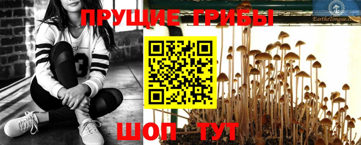 Галлюциногенные грибы ЛСД  купить   Соликамск  Вход с VPN 